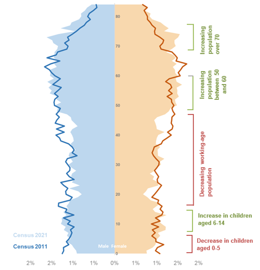 Figure 2: Population structure of Isle of Anglesey